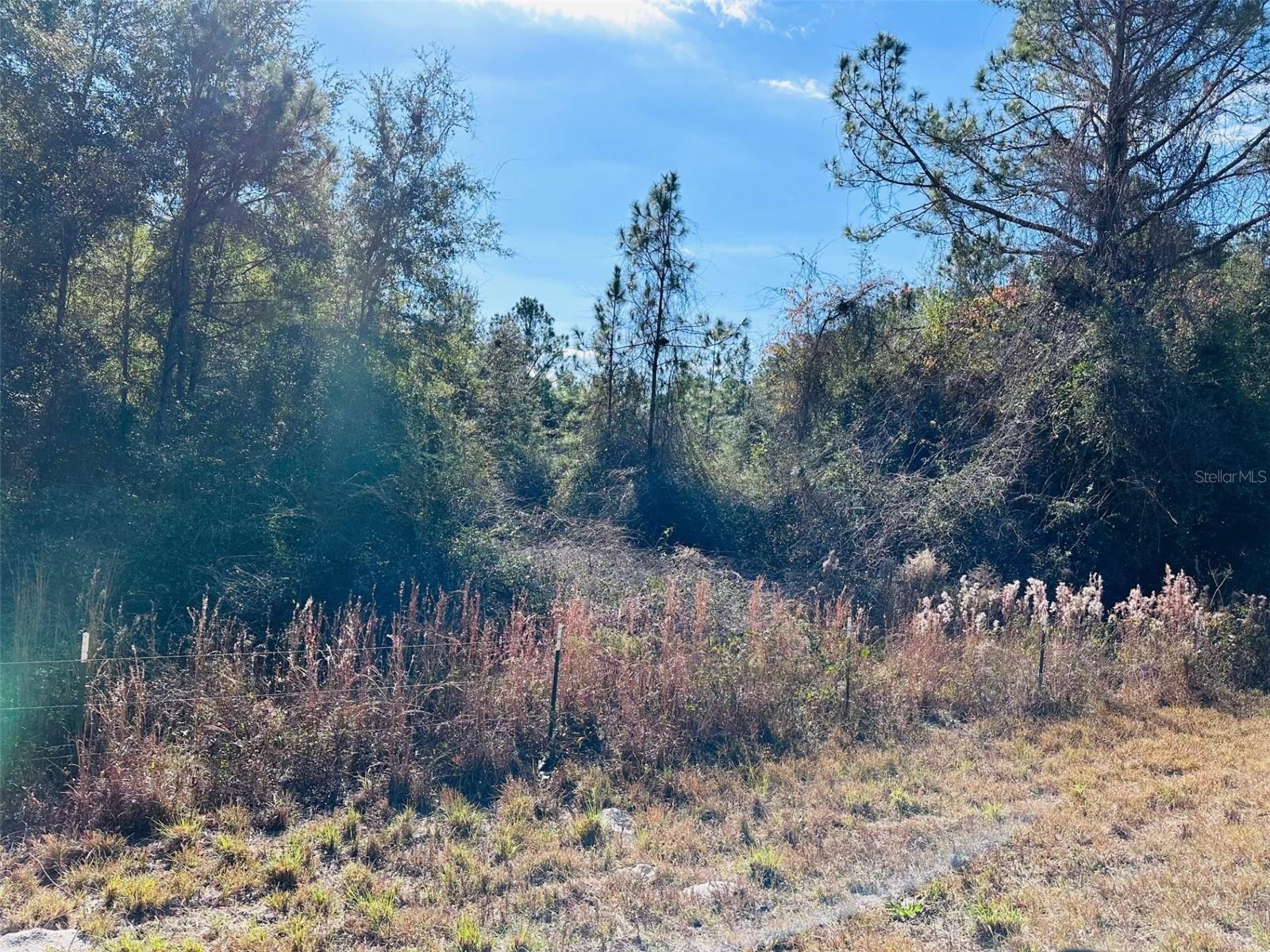 TIMBER RIDGE SUB - Land