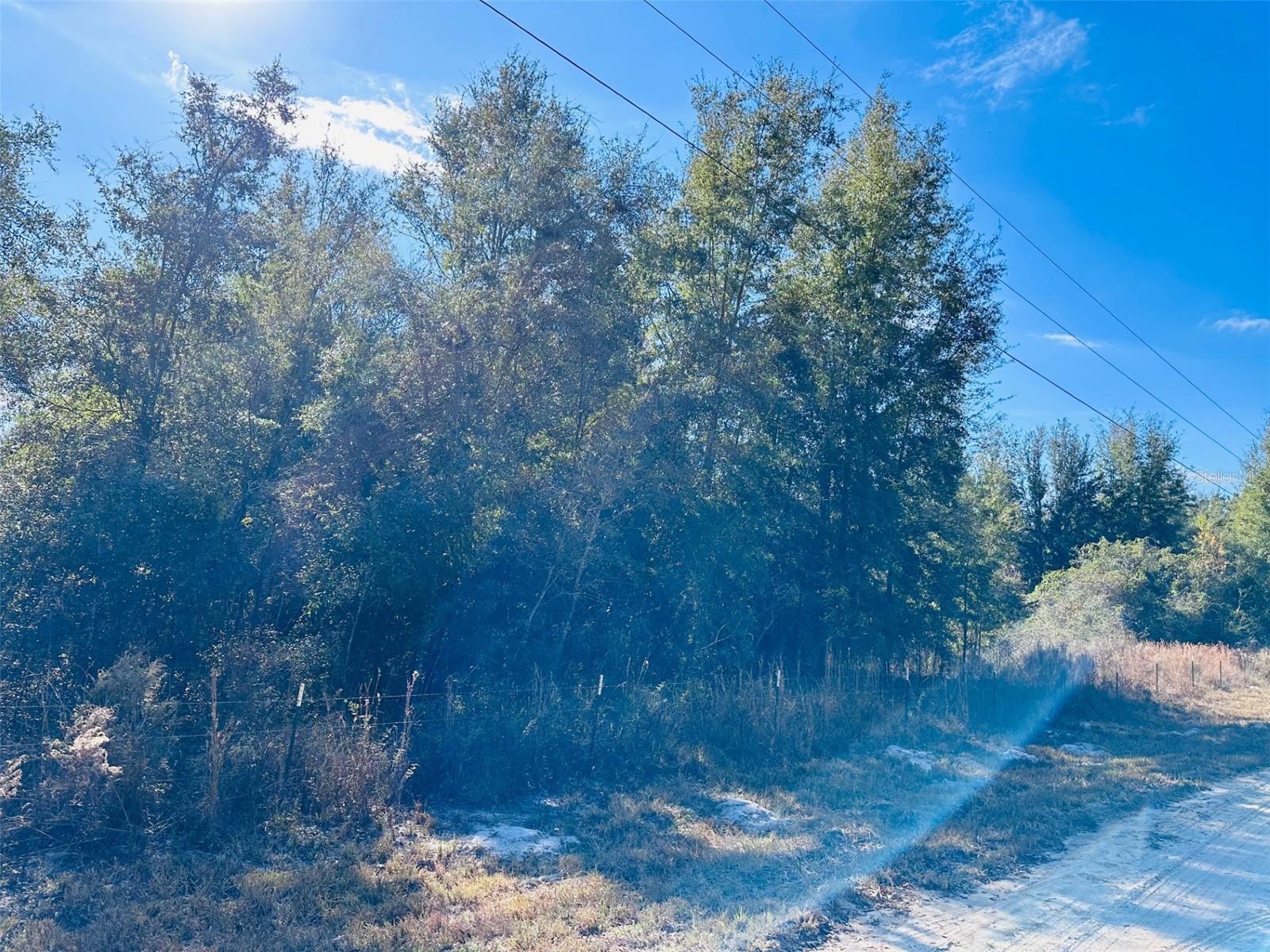 TIMBER RIDGE SUB - Land