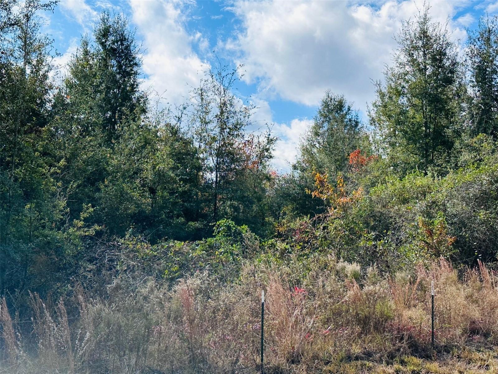 TIMBER RIDGE SUB - Land