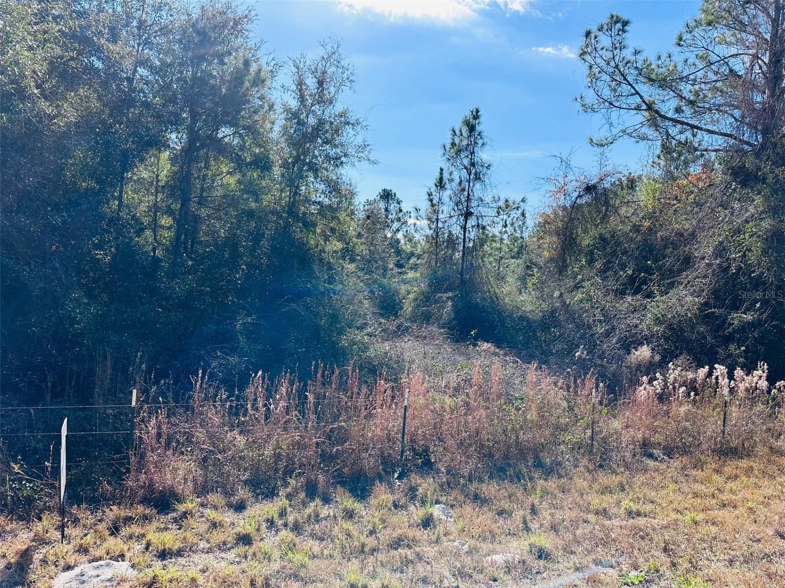 TIMBER RIDGE SUB - Land