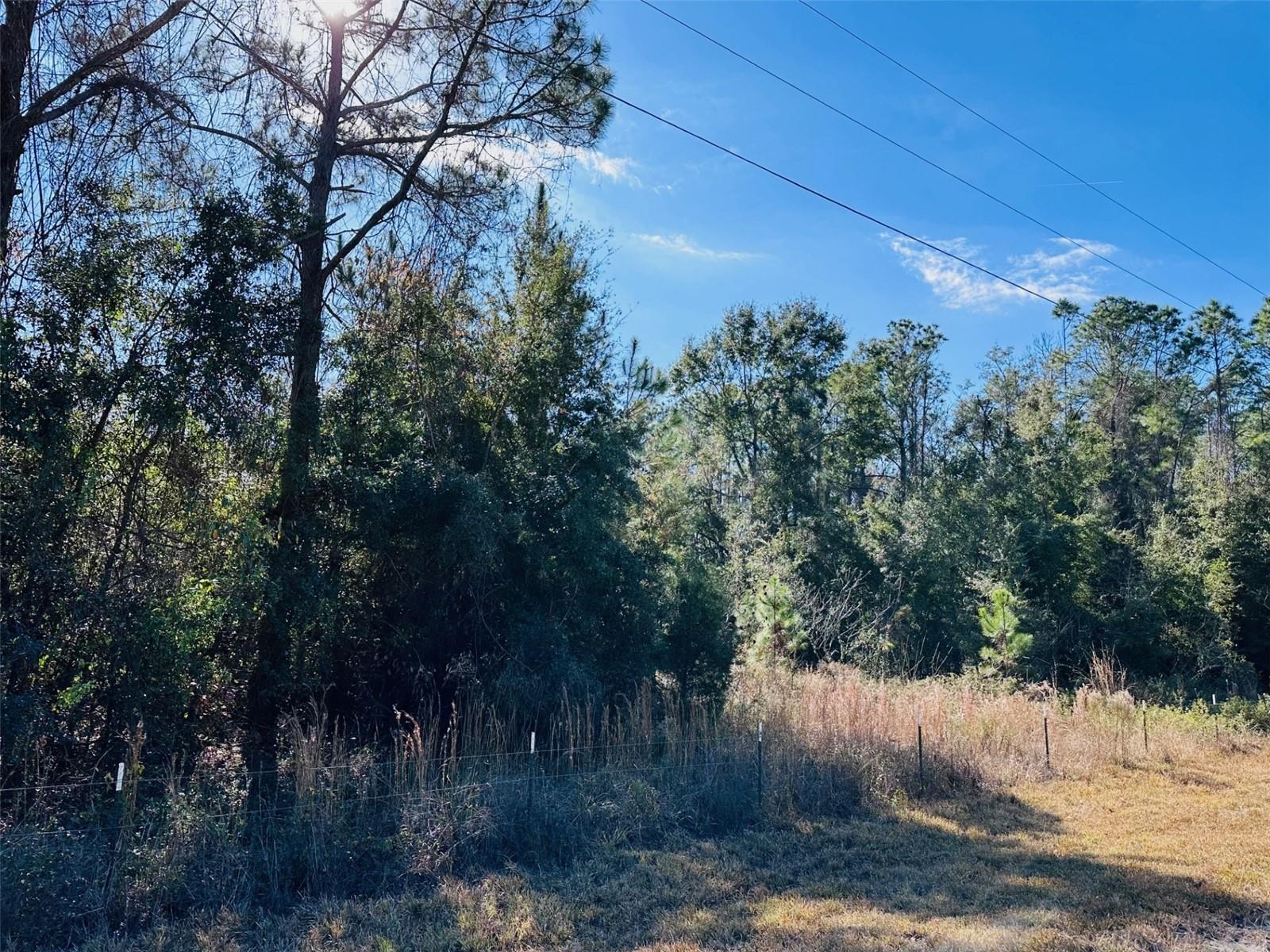 TIMBER RIDGE SUB - Land