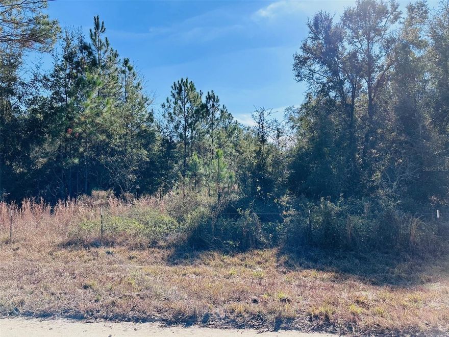 Discover over 9 beautiful wooded acres in the desirable Timber Ridge Subdivision, a site-built/homes-only community in Chiefland, FL. This spacious rural acreage offers plenty of room for horses, livestock, barns, workshops, and your new custom homestead. You'll love the peaceful country setting and you’re still less than 10 minutes to schools, shopping, local restaurants, medical services and the Nature Coast Trail. Enjoy quick trips to the 18-hole golf course, Manatee Springs State Park and the Suwannee River for boating, fishing, kayaking, and outdoor recreation. If you’ve been searching for private land, no HOA, horse property and a buildable high-and-dry parcel in rural North Central Florida, this property offers the perfect canvas for your next chapter.