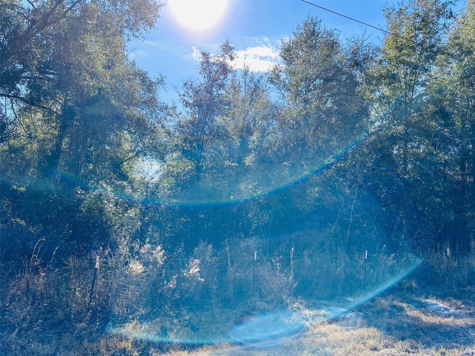 TIMBER RIDGE SUB - Land