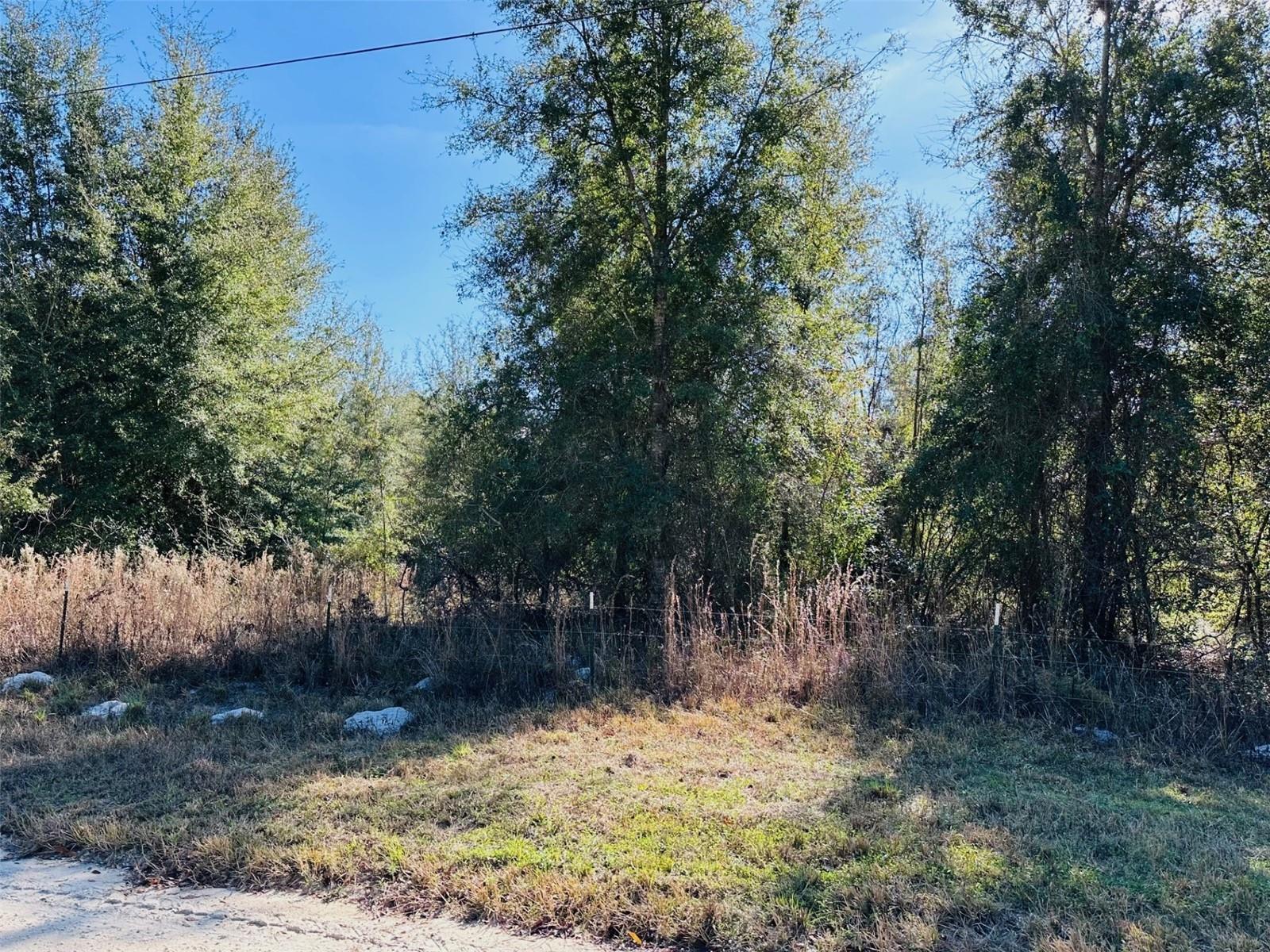 TIMBER RIDGE SUB - Land