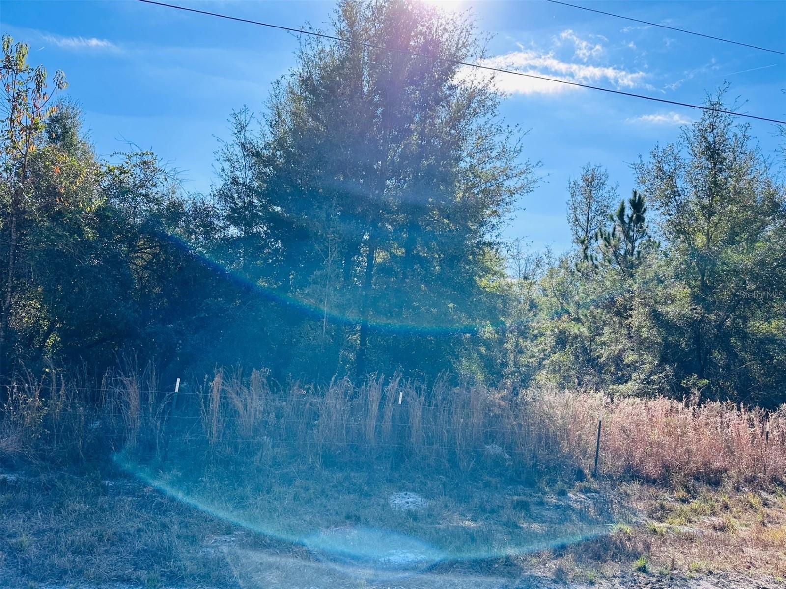 TIMBER RIDGE SUB - Land