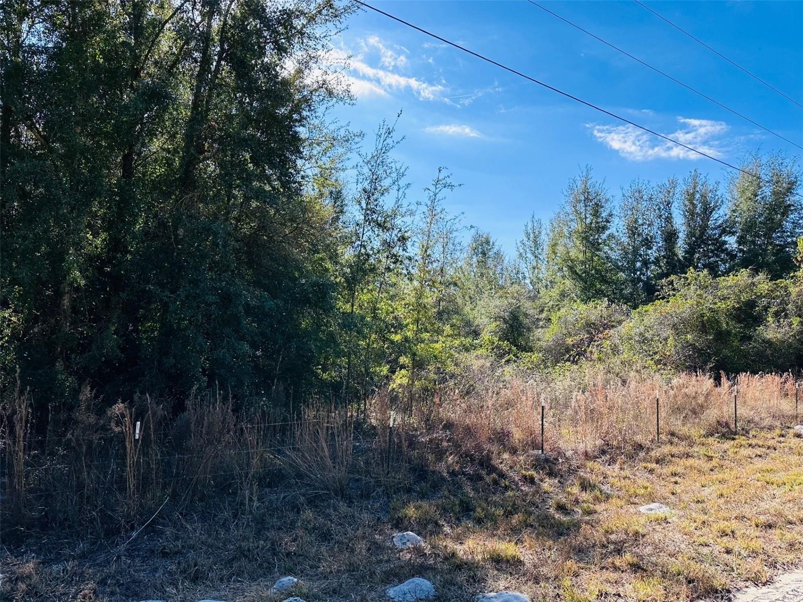 TIMBER RIDGE SUB - Land