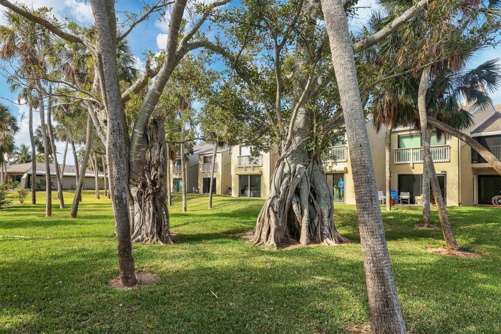 THE BANYAN BAY CLUB - Residential