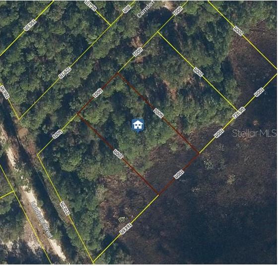 LAKE GEORGE MANOR - Land