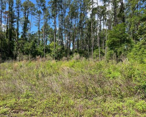 Photo of 9976 N Athenia Drive, Citrus Springs, FL 34434 (MLS # G5112708)