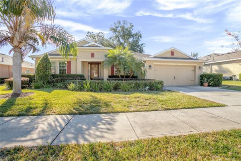 555 MORGAN WOOD DRIVE DELAND FL 32724