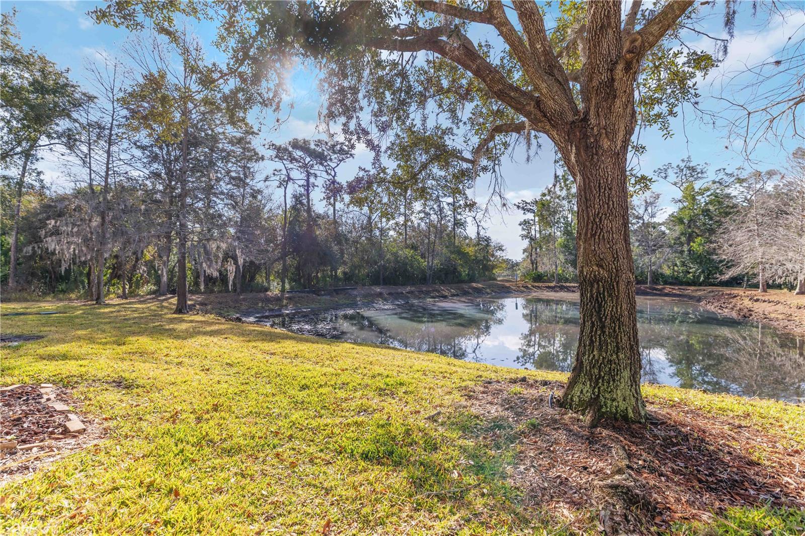 WILLOWBROOK A CONDO PH 4 OR2202/1166 - Residential