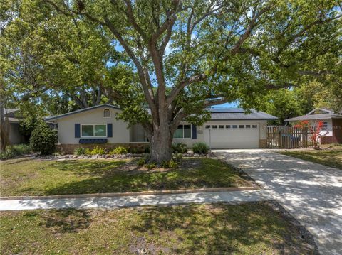9044 LYNWOOD DRIVE SEMINOLE FL 33772