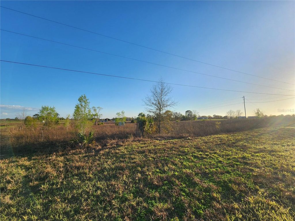 Photo of 11790 NE 30th Street, Bronson, FL 32621 (MLS # OM720653)