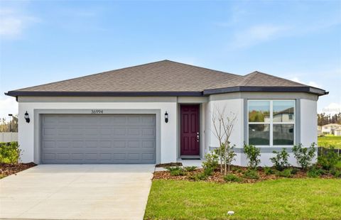 36994 RIO GRANDE DRIVE ZEPHYRHILLS FL 33540