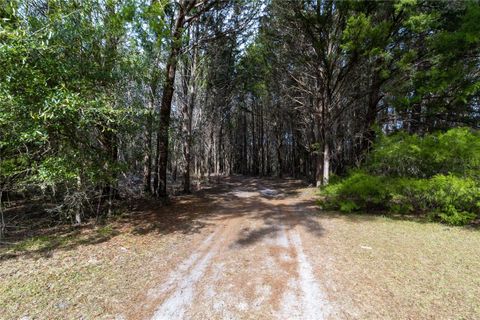 Tiny photo for 8350 NW 77th Place, Chiefland, FL 32626 (MLS # GC536330)