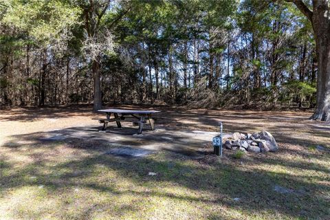 Tiny photo for 8350 NW 77th Place, Chiefland, FL 32626 (MLS # GC536330)