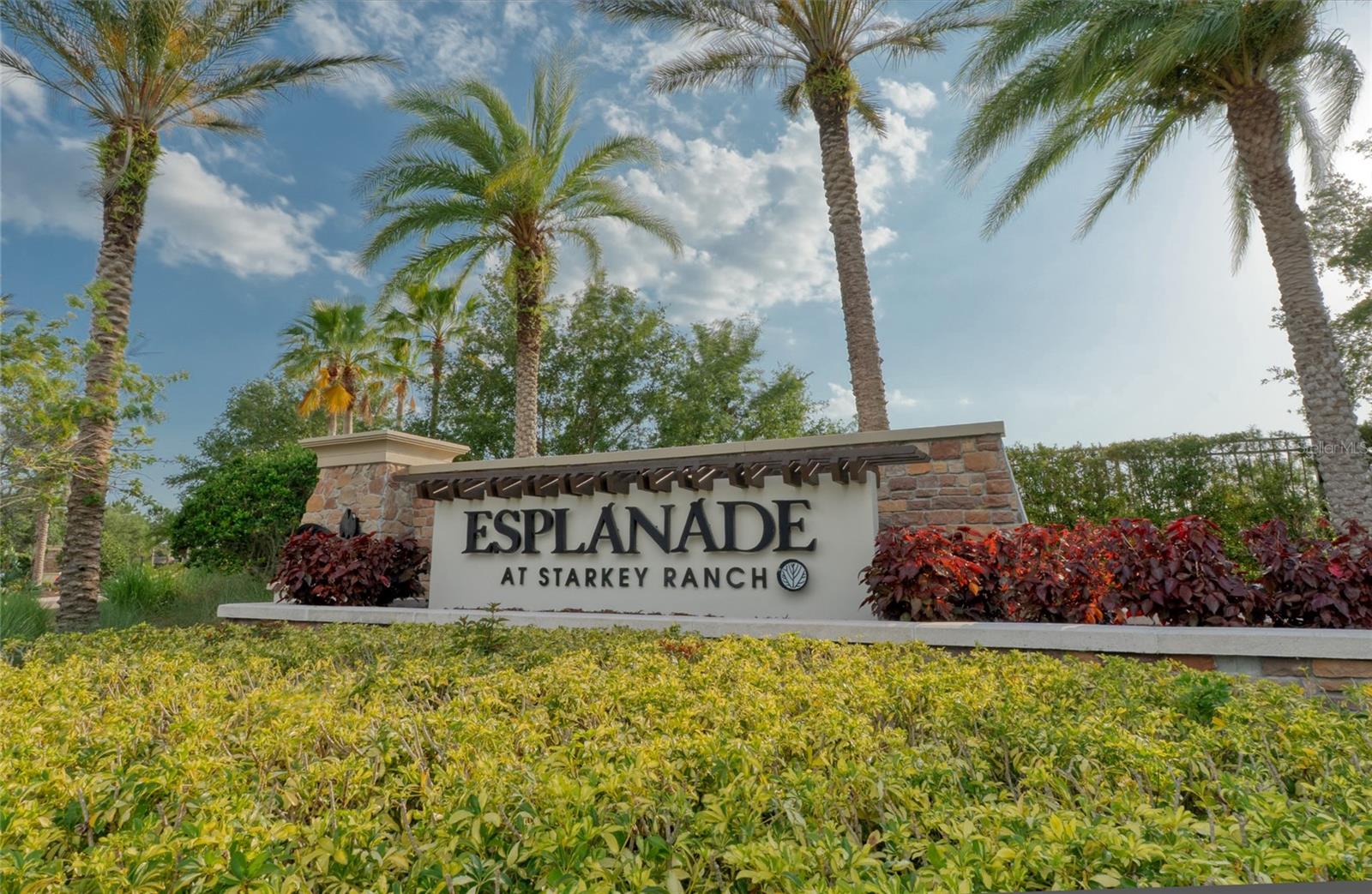 ESPLANADE/STARKEY RANCH PH 1 - Residential