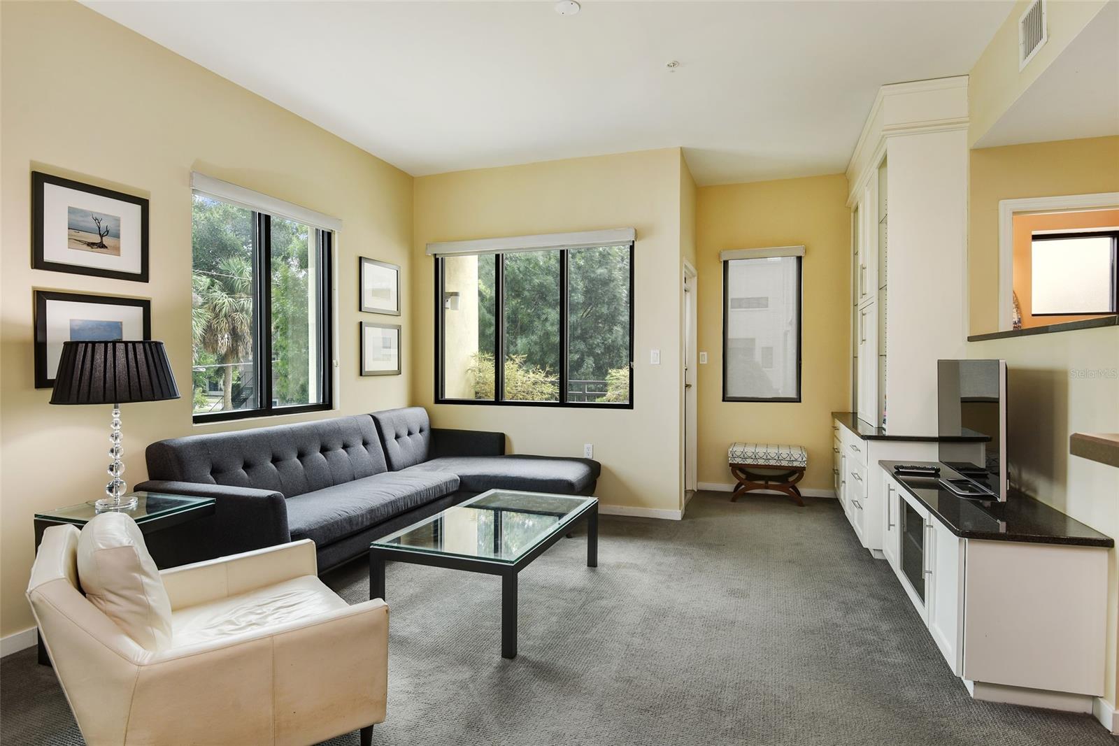 Osceola Brownstones Condo - Residential