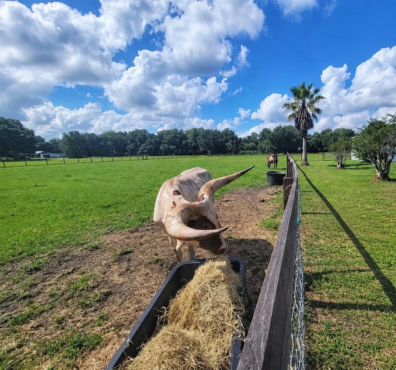 UNPLATTED - Land
