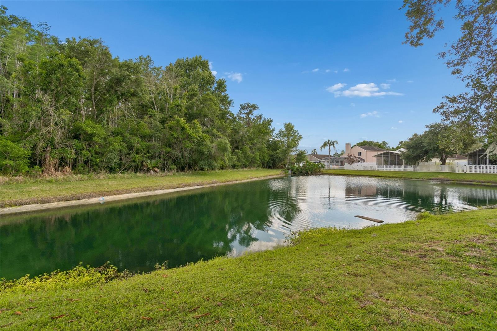 THE WOODLANDS / MEADDOW POINTE - Residential