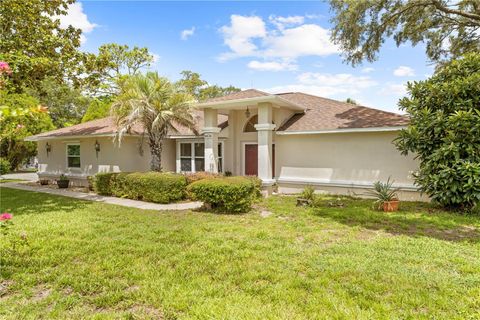 Photo of 14636 Linden Drive, Spring Hill, FL 34609 (MLS # TB8408142)