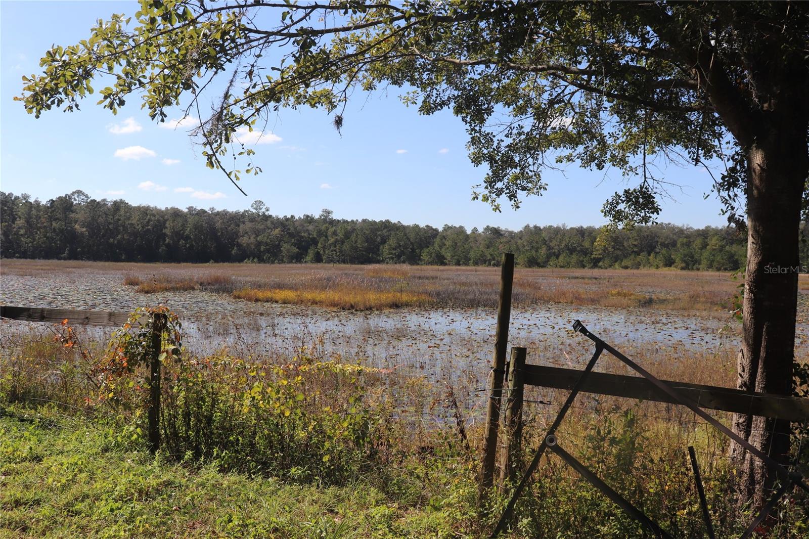 LAKE FOREST ESTATE - Residential