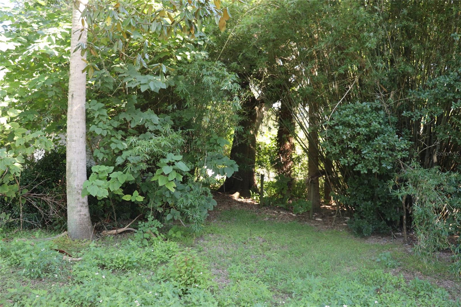 LAKE FOREST ESTATE - Residential