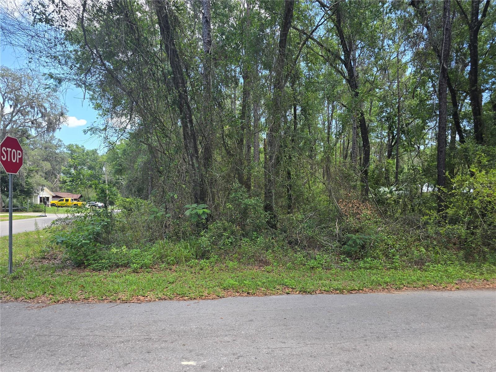 Looking for a piece of property to use as a canvas in building your new home? Stop the Car! You may just have found it! This corner lot is a great opportunity to begin working on your new home aspirations! Located in close proximity to Highway 44, it is a great location for commuting and access to nearby Inverness, Ocala, and within 1 hour and 20 minutes from Tampa! The home site is close to the local shopping and amenities. Within 15 minutes of Inverness, with local highlights such as Fort Cooper State Park, Downtown Inverness, Cooter Pond Park, the restored Valerie Theatre in Inverness - there are a plethora of opportunities to enjoy all the surrounding area has to offer! The homesite is zoned MDR, which allows for Single Family Units. Take a peek and reach out for more information!
