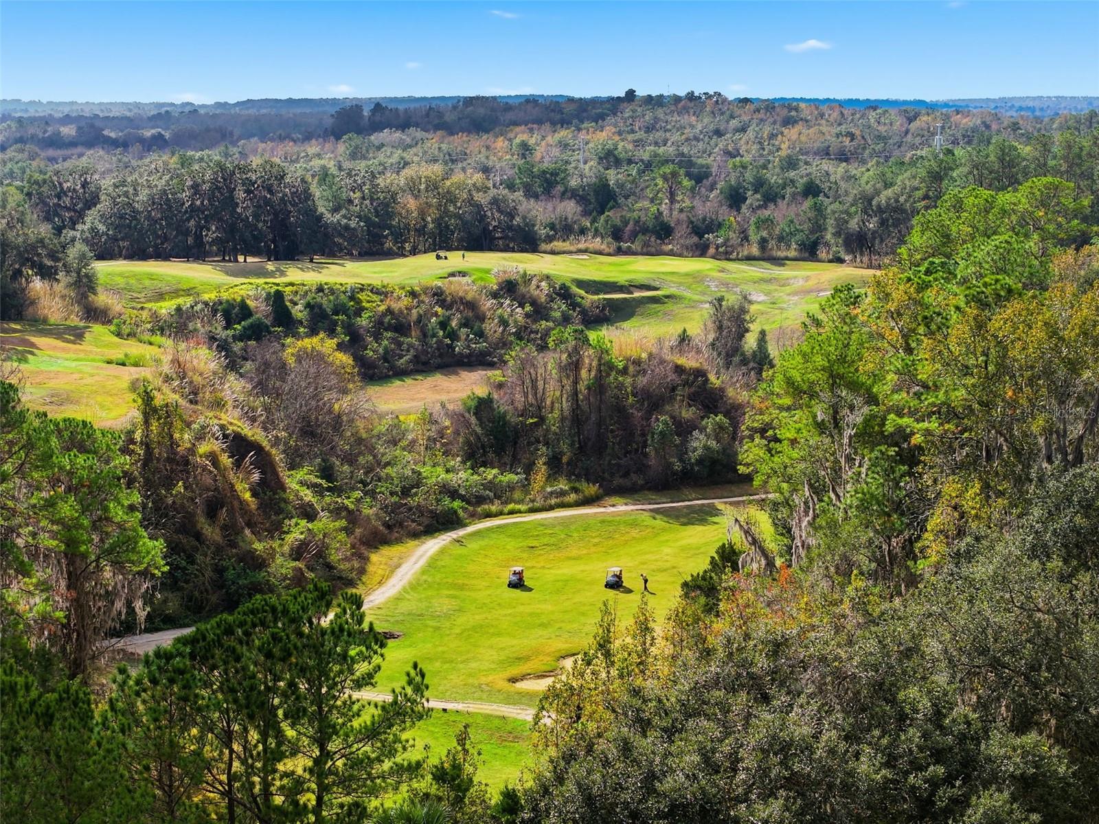 DOGWOOD ESTATE PH IV - Residential