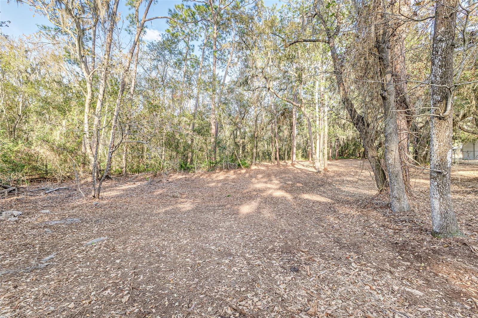 NOT IN SUBDIVISION - Residential