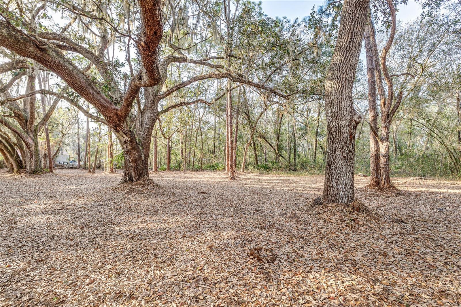 NOT IN SUBDIVISION - Residential