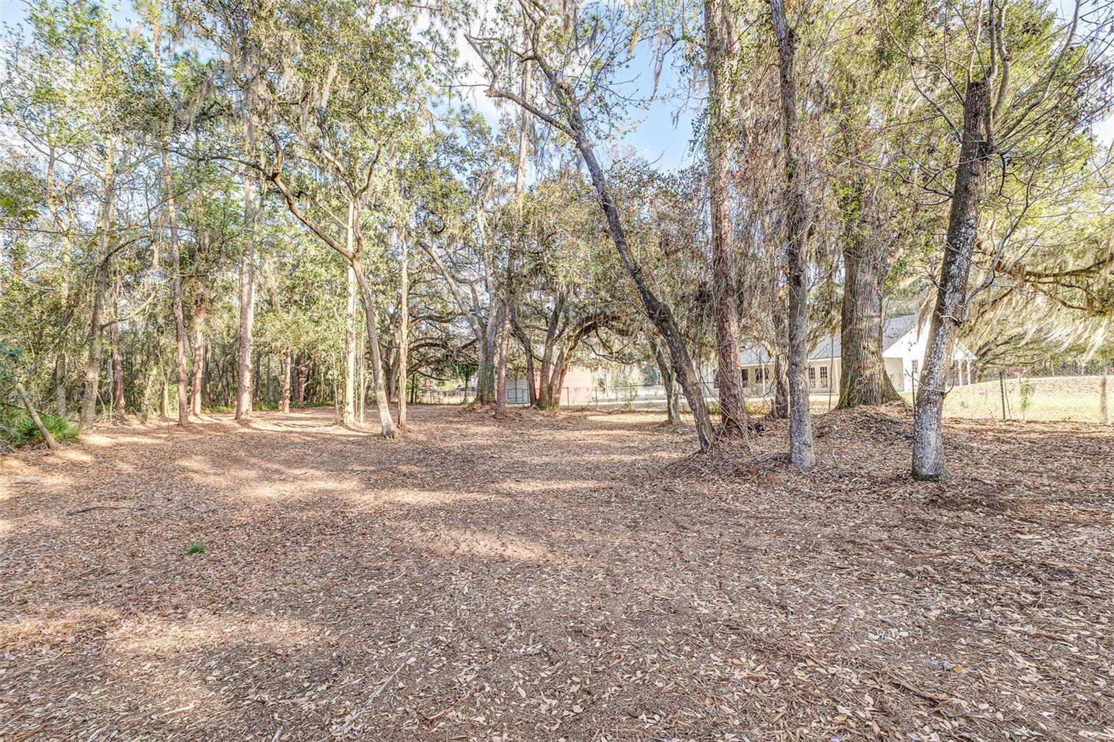 NOT IN SUBDIVISION - Residential