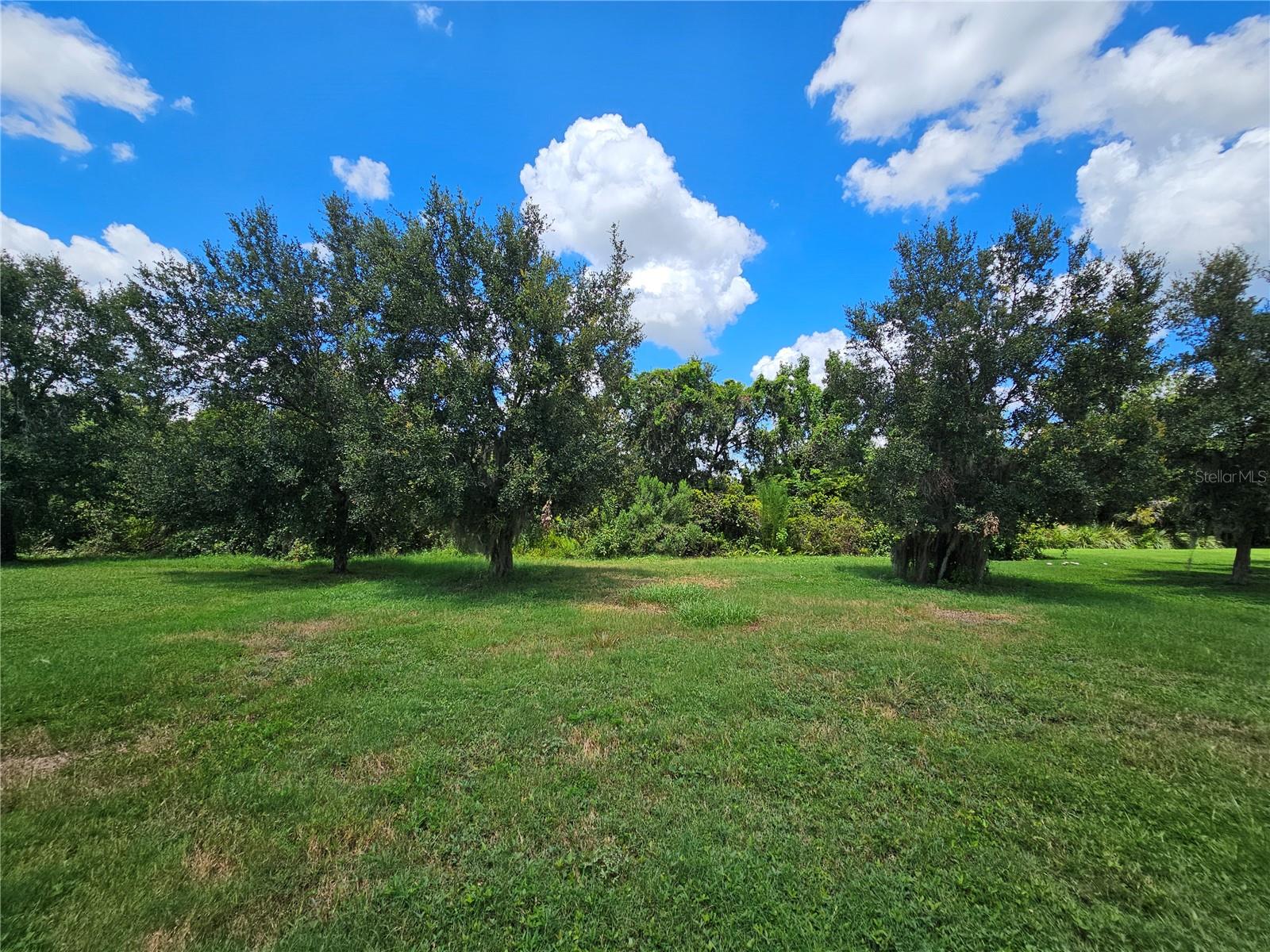 CENTRAL PARK SUBPHASE A-2A - Residential Lease