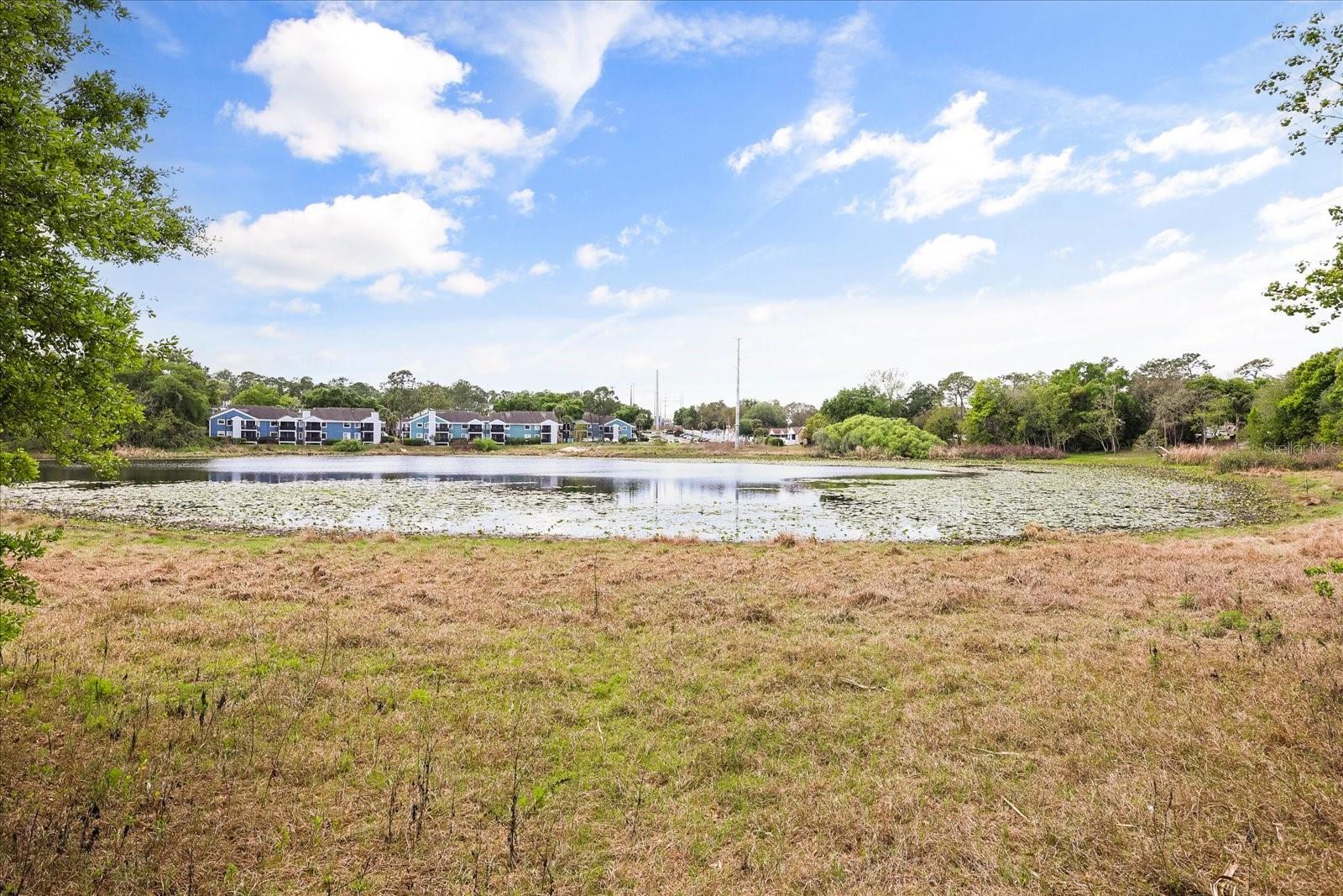 FOXWOOD PH 2 - Residential