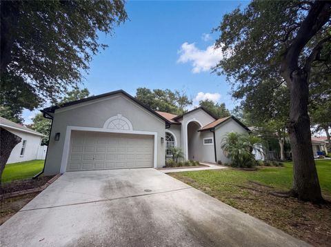 Photo of 222 Taylor Bay Lane, Brandon, FL 33510 (MLS # O6423610)