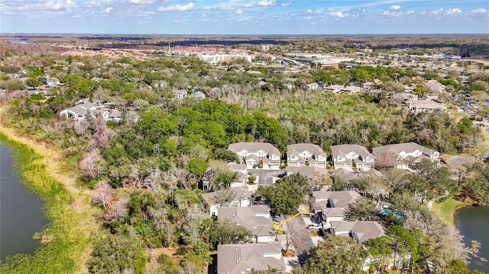 LAKE POINTE AT COUNTRYSIDE - Residential