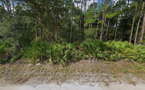 178 MILLICAN ROAD PALATKA FL 32177