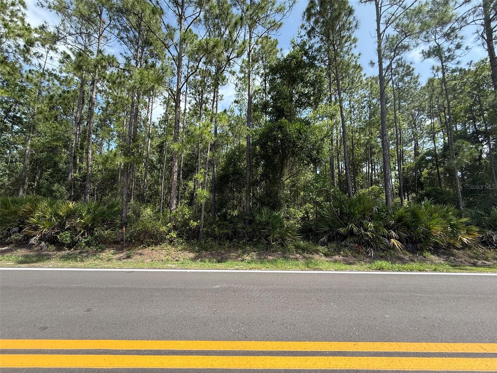 RIO DE ST JOHNS - Land