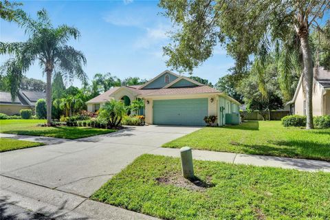 A home in RIVERVIEW