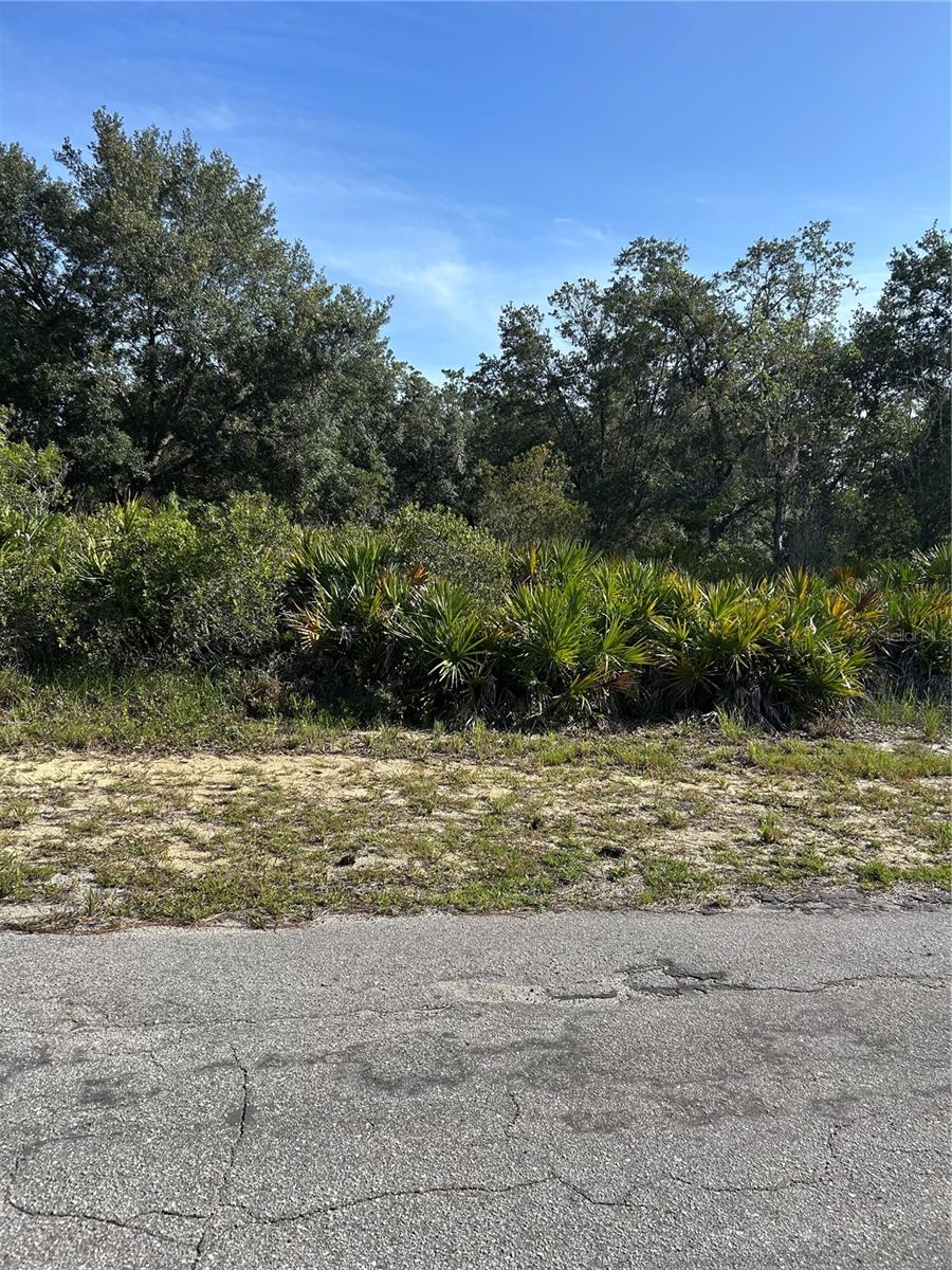 This is an Ideal large lot for you to build your dream home.
The lot is 100 feet x 218 feet or one-half acre is equal to 21,780 square feet.
It is a beautiful wooded area to build your home. Amenities in Lake Wales and Winter Haven are schools, shopping, hospitals, an excellent place to start investing in your future. Come see this beautiful area and you will be thrilled. When you want to obtain an inexpensive new home call immediately with no obligation for details.
A half-acre allows diverse landscaping, including a lawn, areas for gardening (vegetables, herbs), large trees, an area for entertaining and even a garden shed. 20 minutes to Publix where "shopping is a pleasure." Information believed to be true, but buyer should verify information.
