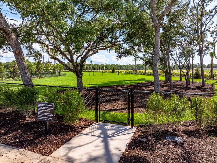 PALM WIND - Residential