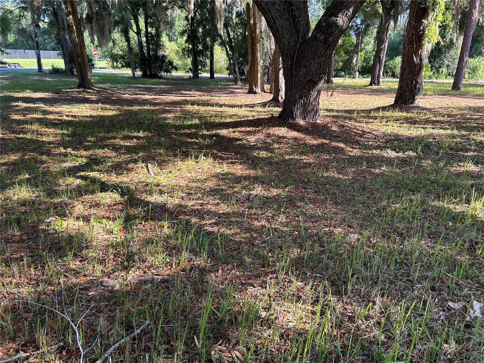 RYANS FIRST ADD - Land