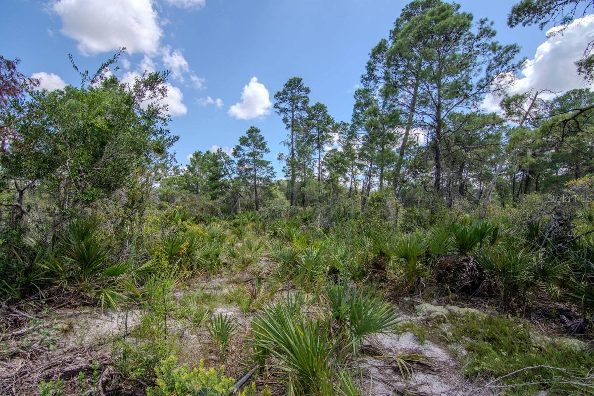 OAKRIDGE ESTATES - Residential