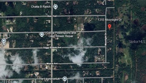 1315 MOONLIGHT DR COCOA FL 32926