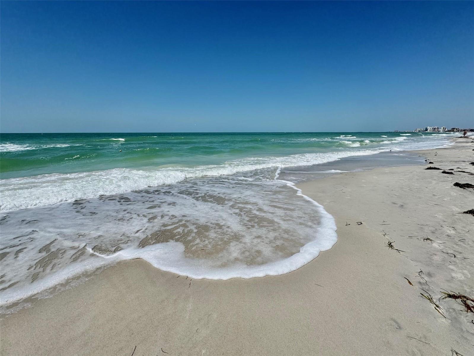 SAND KEY CONDO-SOUTH BEACH 1460 - Residential