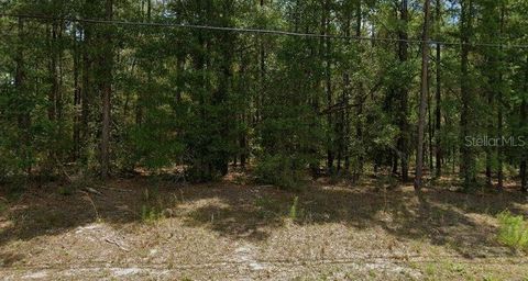9879 N CARAVEL TERRACE DUNNELLON FL 34434