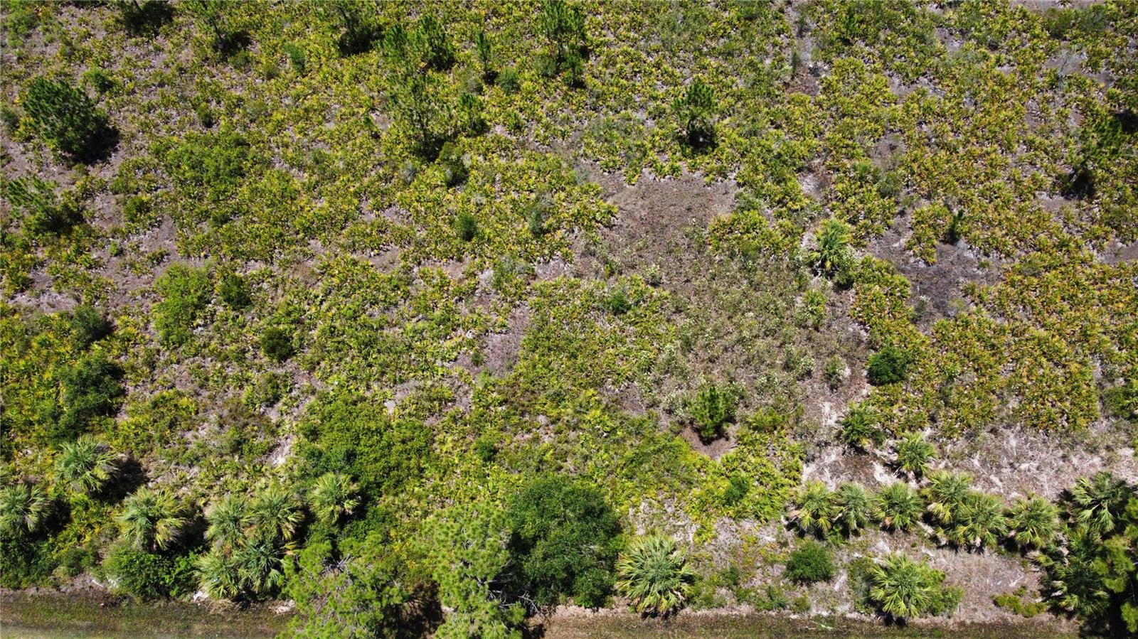 287 REDINGTON AVENUE