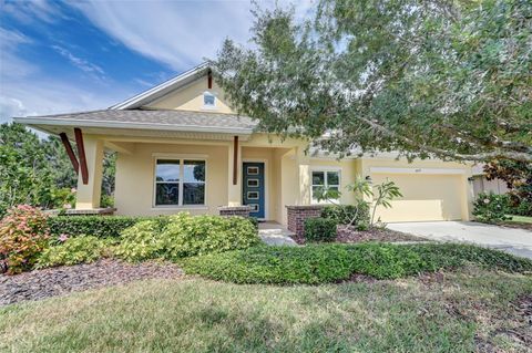 A home in APOLLO BEACH