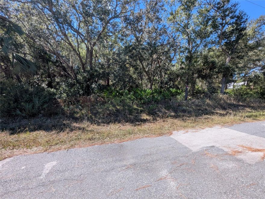 This is an oversized 1.25-acre, wooded parcel in the Crystal Manor Subdivision in beautiful Crystal River, FL.  You'll enjoy the rural setting that is close to town, where you'll find lots of restaurant choices and shopping. Do you enjoy boating, fishing & bike riding? You'll only be 3 miles to the Boat Ramp at Lake Rousseau and 4 miles to the Boat Ramp and Trailhead for the Withlacoochee Bay Trail at the Barge Canal. Don't miss this opportunity, call today!
