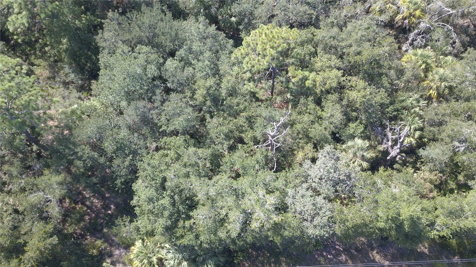 CRYSTAL MANOR UN #2 - Land